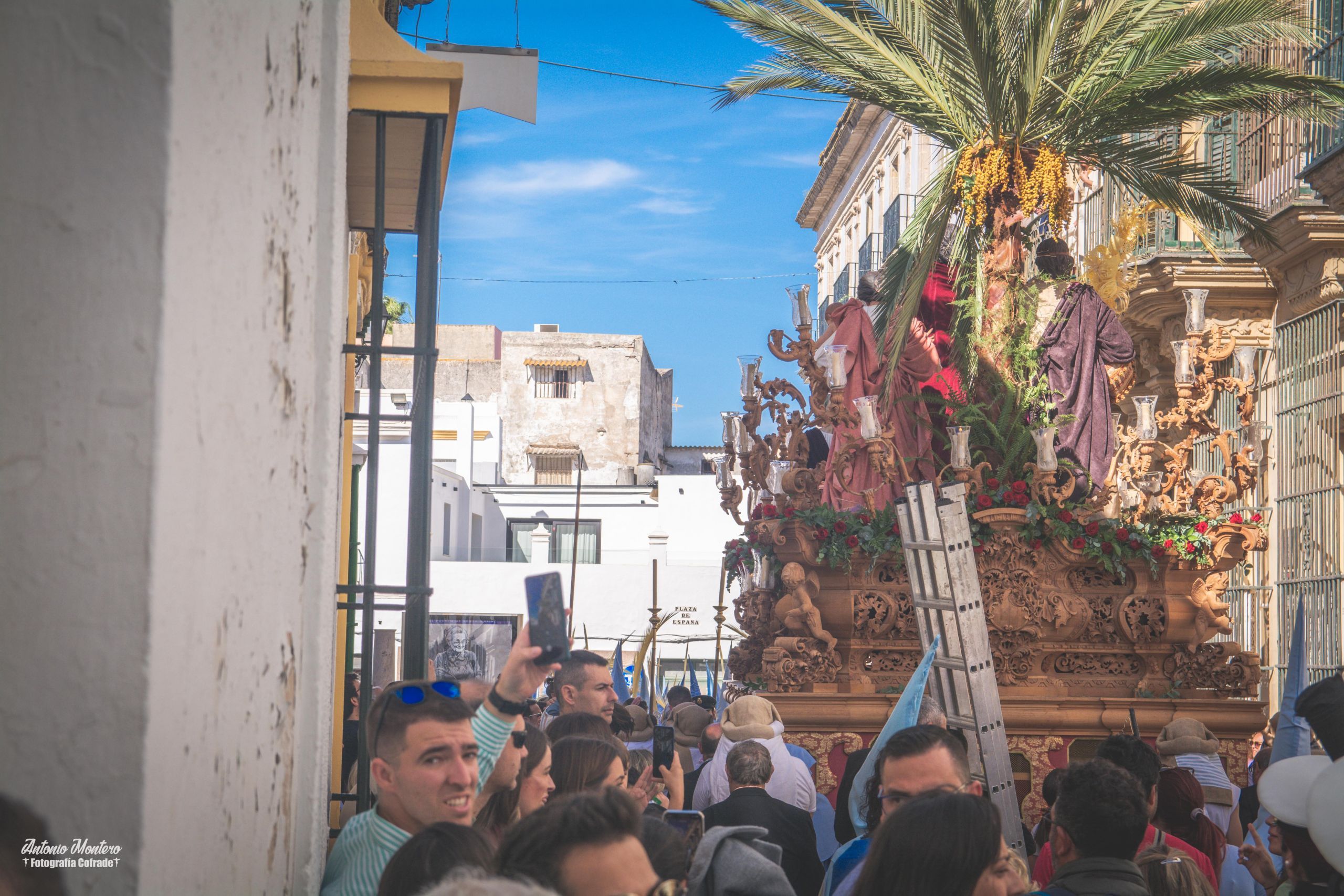 Toma de posesión de la Junta de Gobierno de la Borriquita | OndaPasion ...